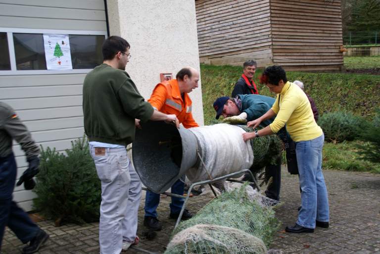 Weihnachtsbaumverkauf 2008 Bild Nr.018